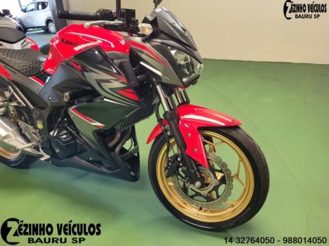 KAWASAKI Z 300 ABS, Foto 5