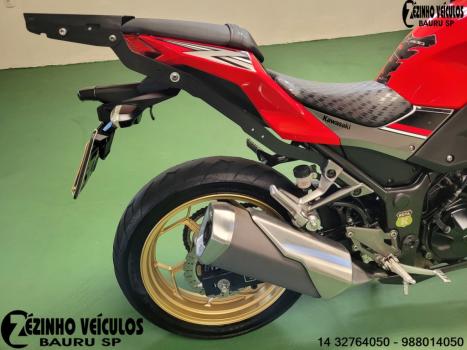 KAWASAKI Z 300 ABS, Foto 6