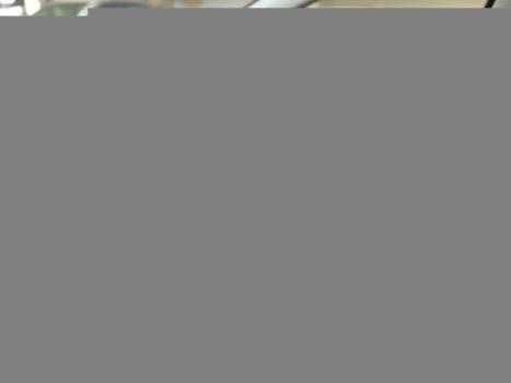 PEUGEOT 208 1.6 16V 4P FLEX ALLURE AUTOMTICO, Foto 14