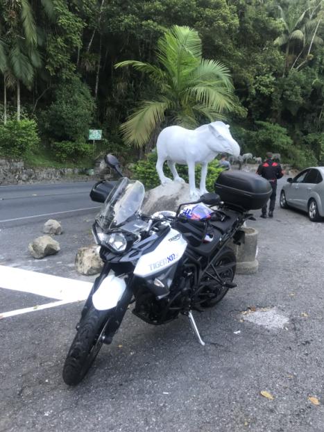 TRIUMPH Tiger 800 XRX, Foto 1