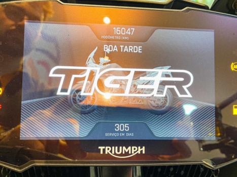 TRIUMPH Tiger 900 RALLY PR, Foto 13