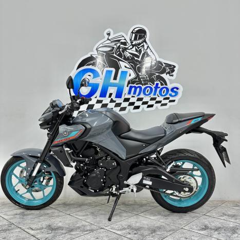 YAMAHA MT-03 300 ABS, Foto 8