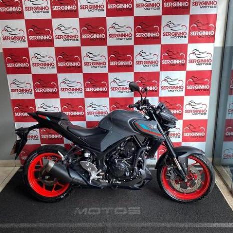 YAMAHA MT-03 300 ABS, Foto 1