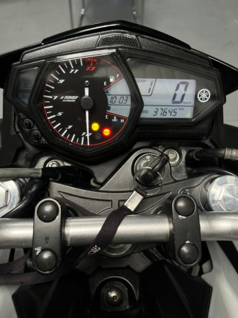 YAMAHA MT-03 300 ABS, Foto 4