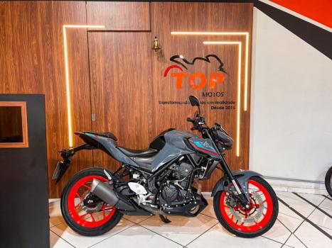 YAMAHA MT-03 300 ABS, Foto 1