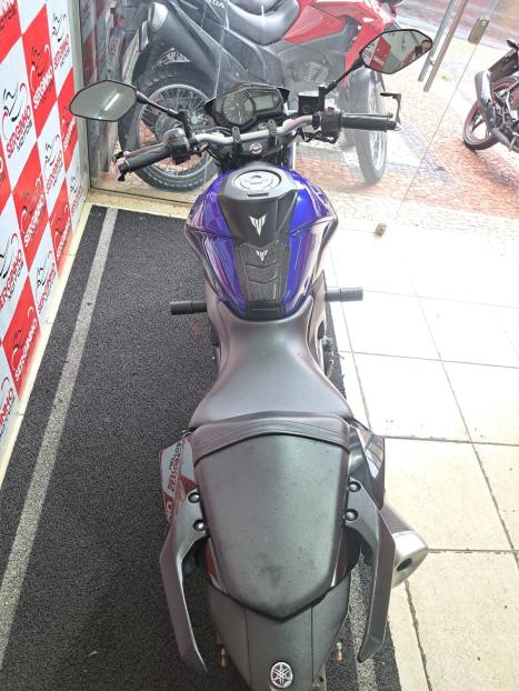 YAMAHA MT-03 300 ABS, Foto 5