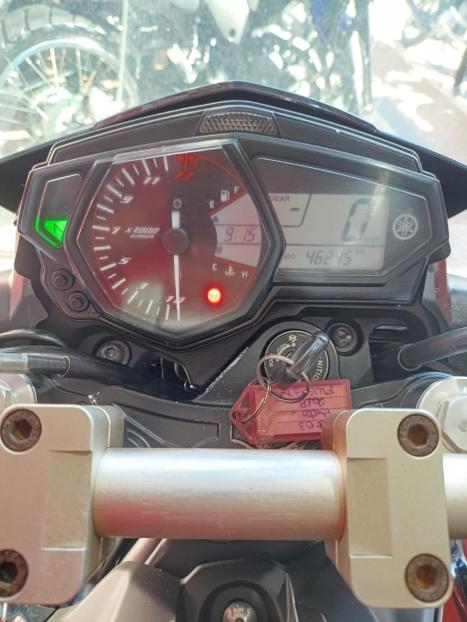 YAMAHA MT-03 300 ABS, Foto 2