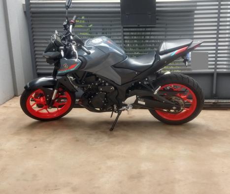 YAMAHA MT-03 300 ABS, Foto 1