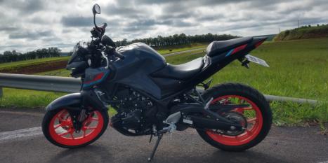 YAMAHA MT-03 300 ABS, Foto 2
