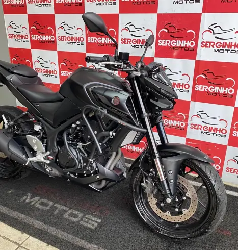 YAMAHA MT-03 300 ABS, Foto 2