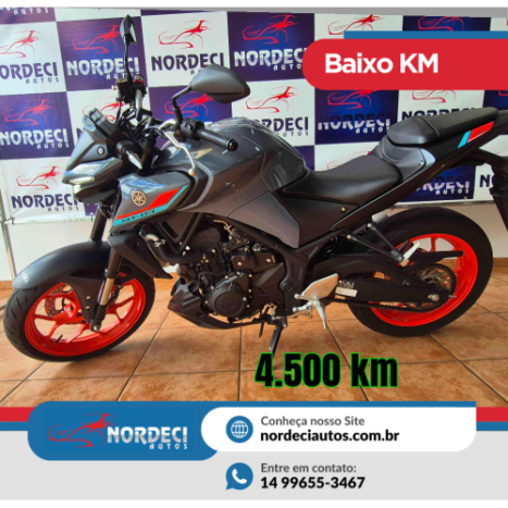 YAMAHA MT-03 300 ABS, Foto 1