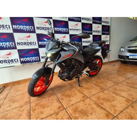 YAMAHA MT-03 300 ABS, Foto 6