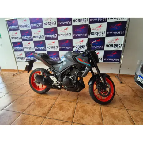 YAMAHA MT-03 300 ABS, Foto 9