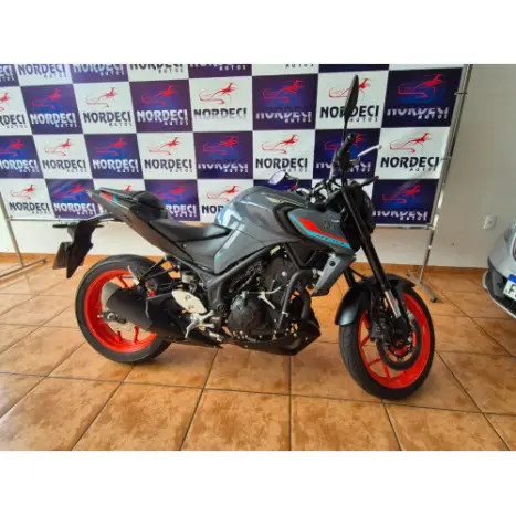 YAMAHA MT-03 300 ABS, Foto 10