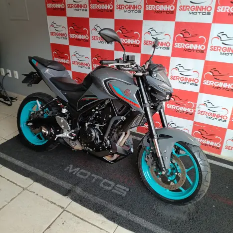 YAMAHA MT-03 300 ABS, Foto 5