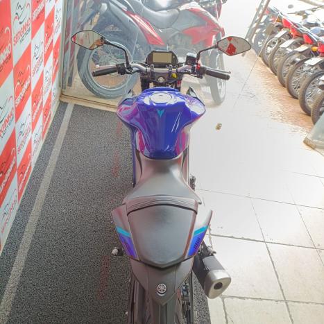 YAMAHA MT-03 300 ABS, Foto 5