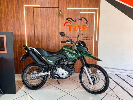 YAMAHA R 15 , Foto 1