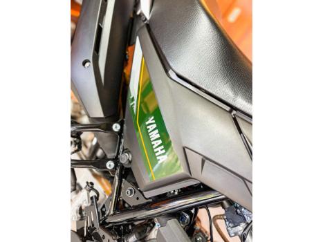 YAMAHA R 15 , Foto 8
