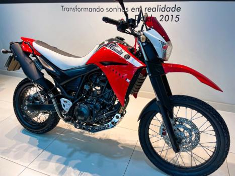 YAMAHA XT 660 R , Foto 3