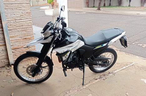 YAMAHA XTZ 250 LANDER, Foto 2