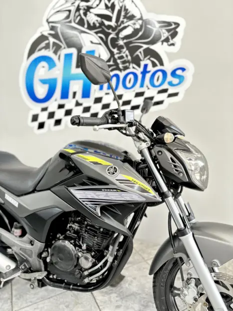 YAMAHA YS Fazer 250 BLUE FLEX, Foto 2