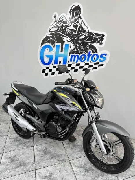 YAMAHA YS Fazer 250 BLUE FLEX, Foto 4