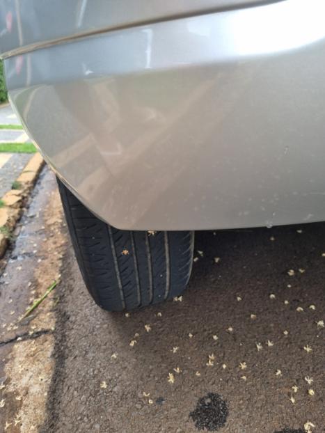 RENAULT Sandero 1.6 16V 4P FLEX PRIVILEGE, Foto 12