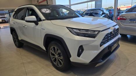 TOYOTA RAV 4 2.5 16V 4P SX HIBRID AWD AUTOM�TICO CVT, Foto 1