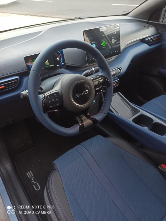 BYD Dolphin Mini - Foto