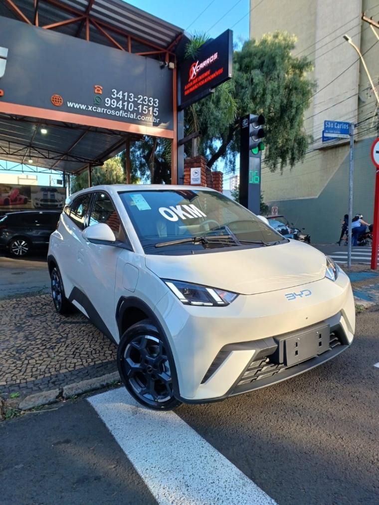 BYD Dolphin Mini - Foto