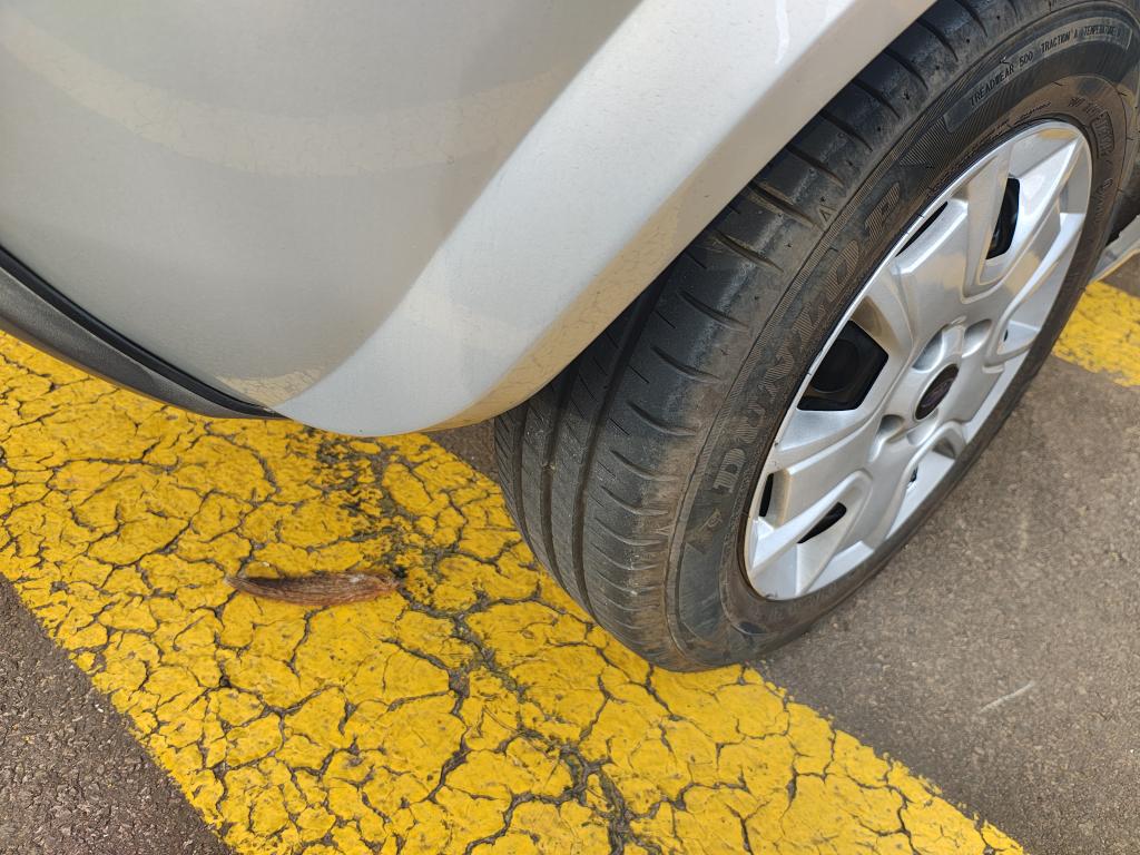 FORD Ka Hatch - Foto
