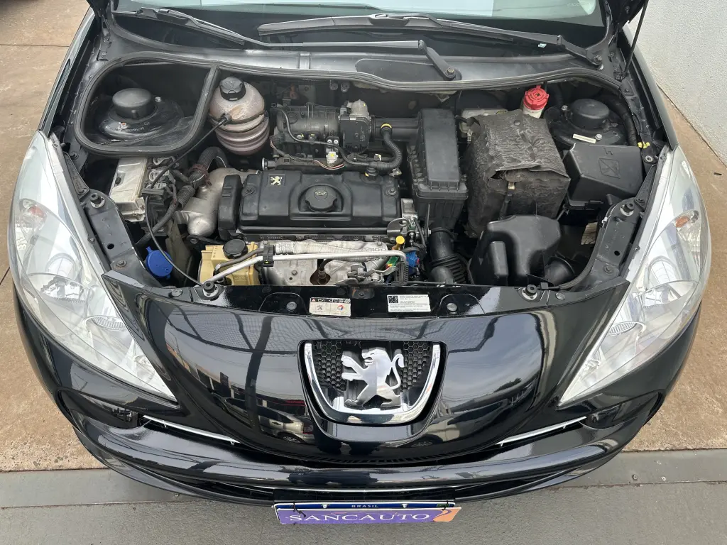 PEUGEOT 207 Hatch - Foto