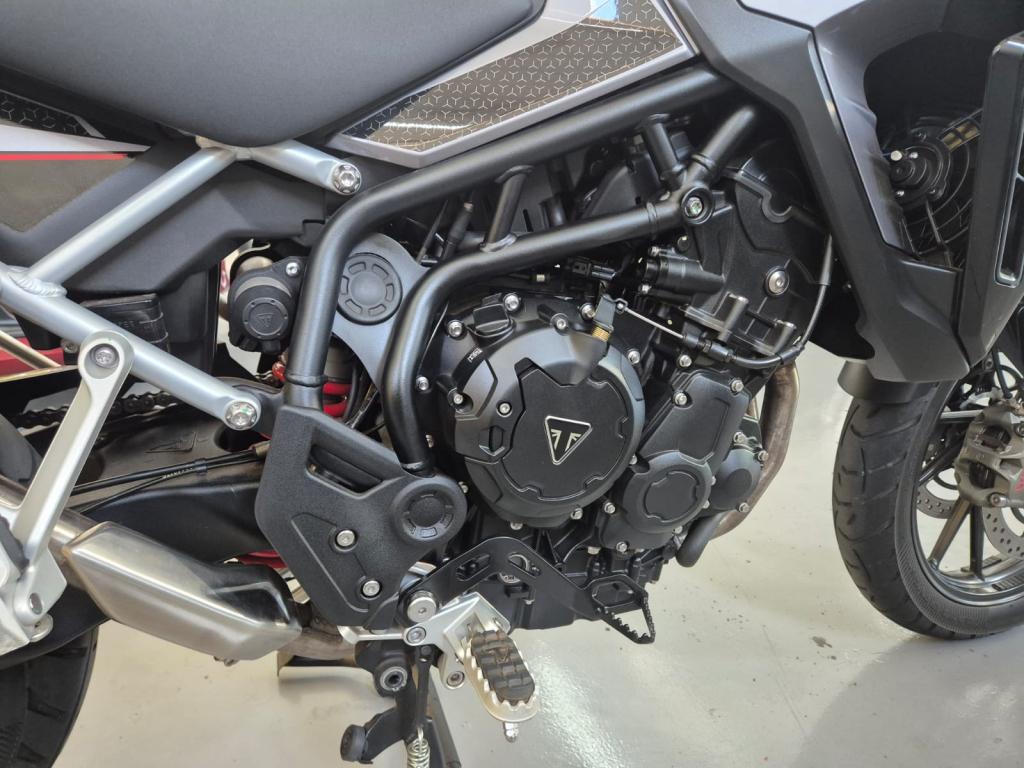 TRIUMPH Tiger 900 GT Pro - Foto