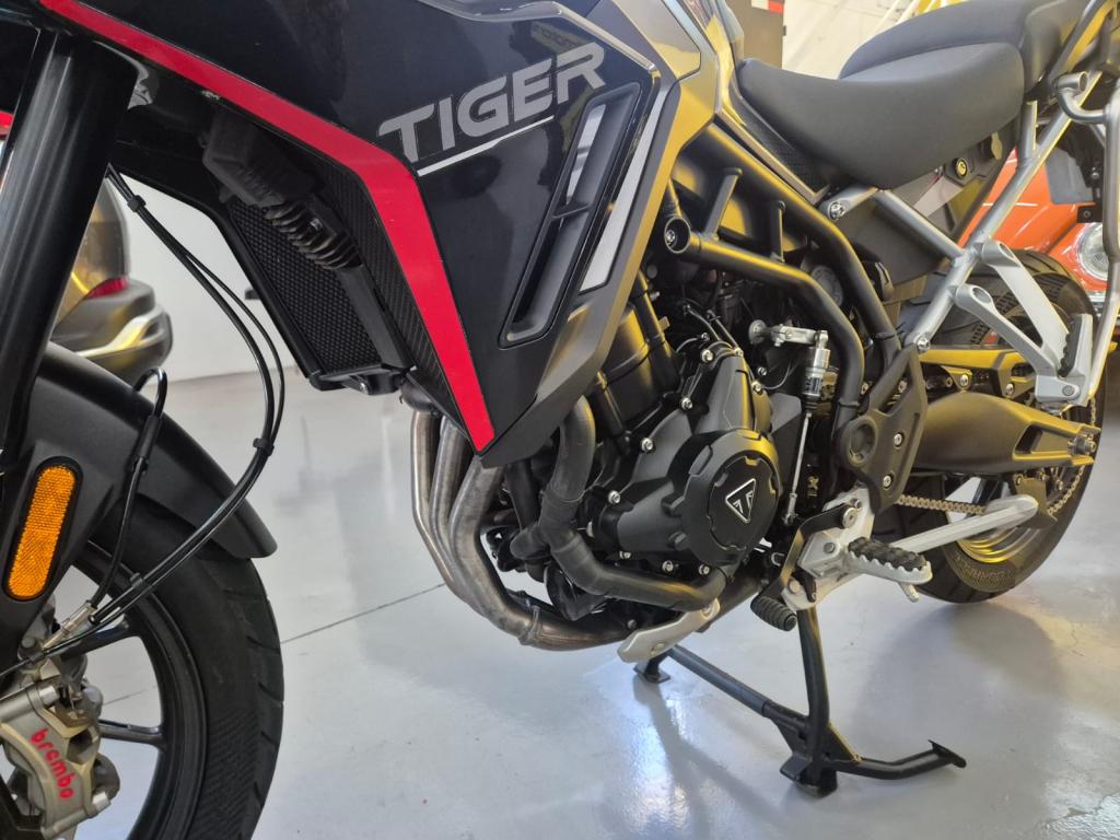 TRIUMPH Tiger 900 GT Pro - Foto