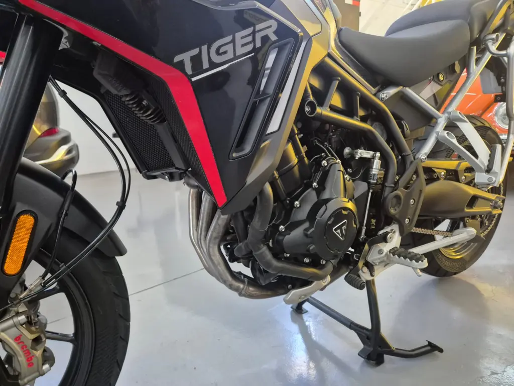 TRIUMPH Tiger 900 GT Pro - Foto