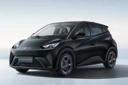 BYD Dolphin Mini 38 KW EL�TRICO