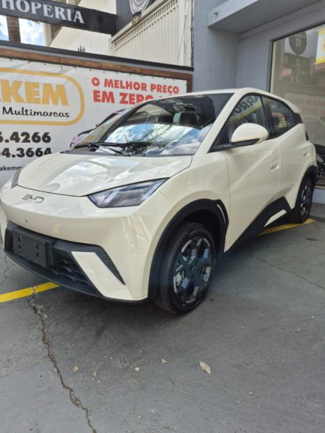 BYD Dolphin Mini 38 KW EL�TRICO, Foto 1