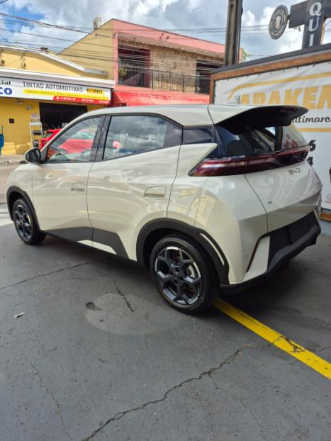 BYD Dolphin Mini 38 KW EL�TRICO, Foto 4