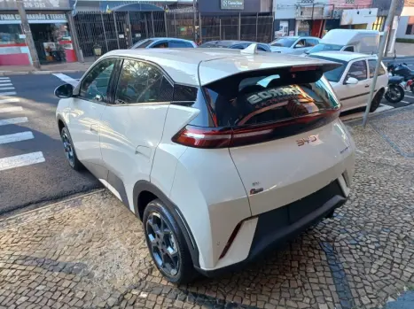 BYD Dolphin Mini 38 KW EL�TRICO GS, Foto 10
