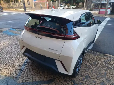 BYD Dolphin Mini 38 KW EL�TRICO GS, Foto 11