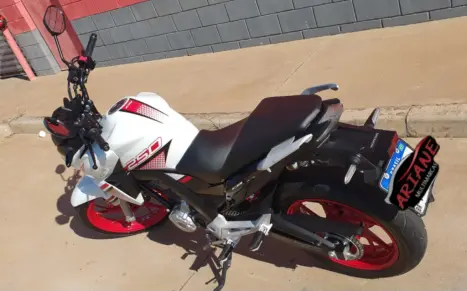 HONDA CB 250 F Twister FLEXONE, Foto 4