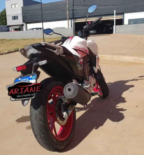 HONDA CB 250 F Twister FLEXONE, Foto 5