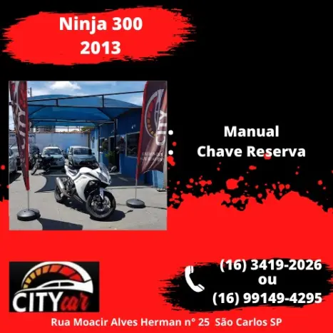 KAWASAKI Ninja 300 , Foto 1