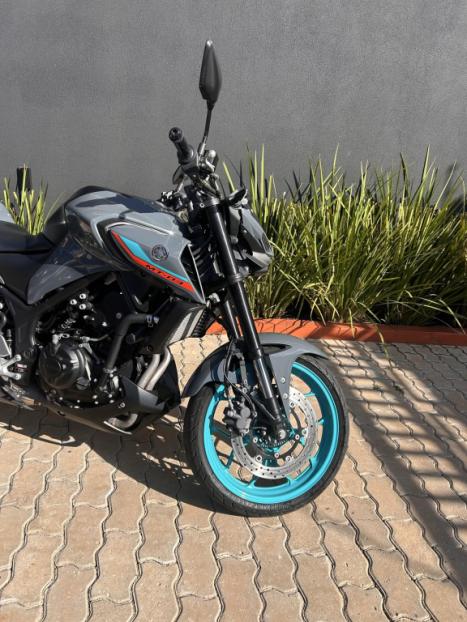 YAMAHA MT-03 300 ABS, Foto 10