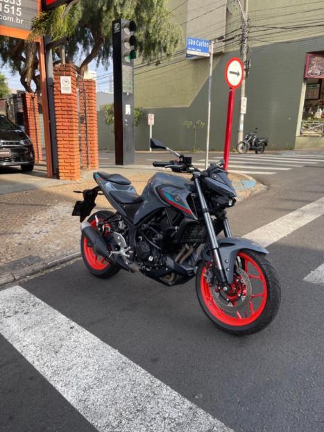 YAMAHA MT-03 300 ABS, Foto 11