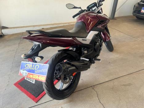 YAMAHA YS Fazer 250 BLUE FLEX, Foto 4