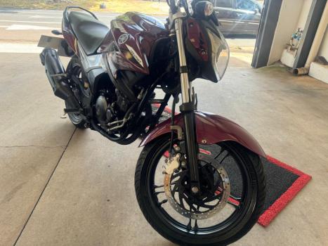 YAMAHA YS Fazer 250 BLUE FLEX, Foto 6