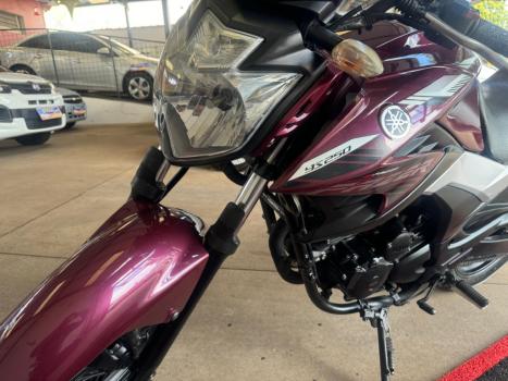 YAMAHA YS Fazer 250 BLUE FLEX, Foto 9