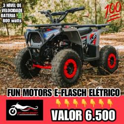 FUN MOTORS Taurus 110 