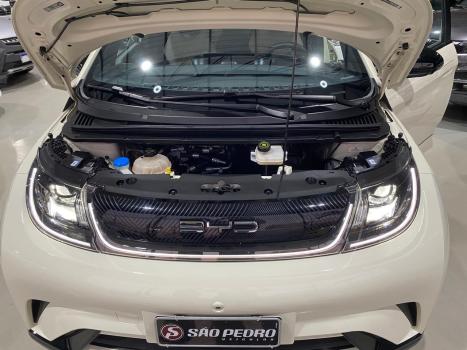 BYD Dolphin 44,9 KW ELTRICO, Foto 19